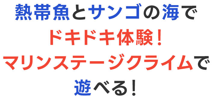 熱帯魚とサンゴの海でドキドキ体験！マリンステージクライムで遊べる！